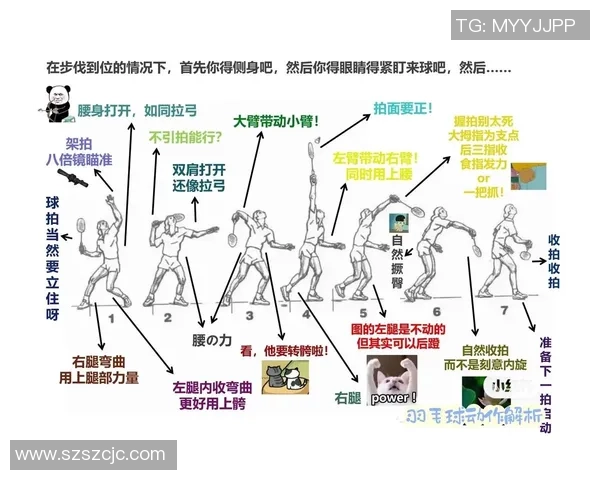 西安羽毛球队战术创新与实战应用的深度分析与探讨
